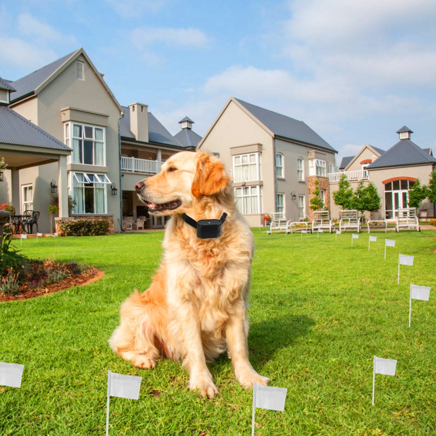 PawGuardian Wireless Dog Fence System