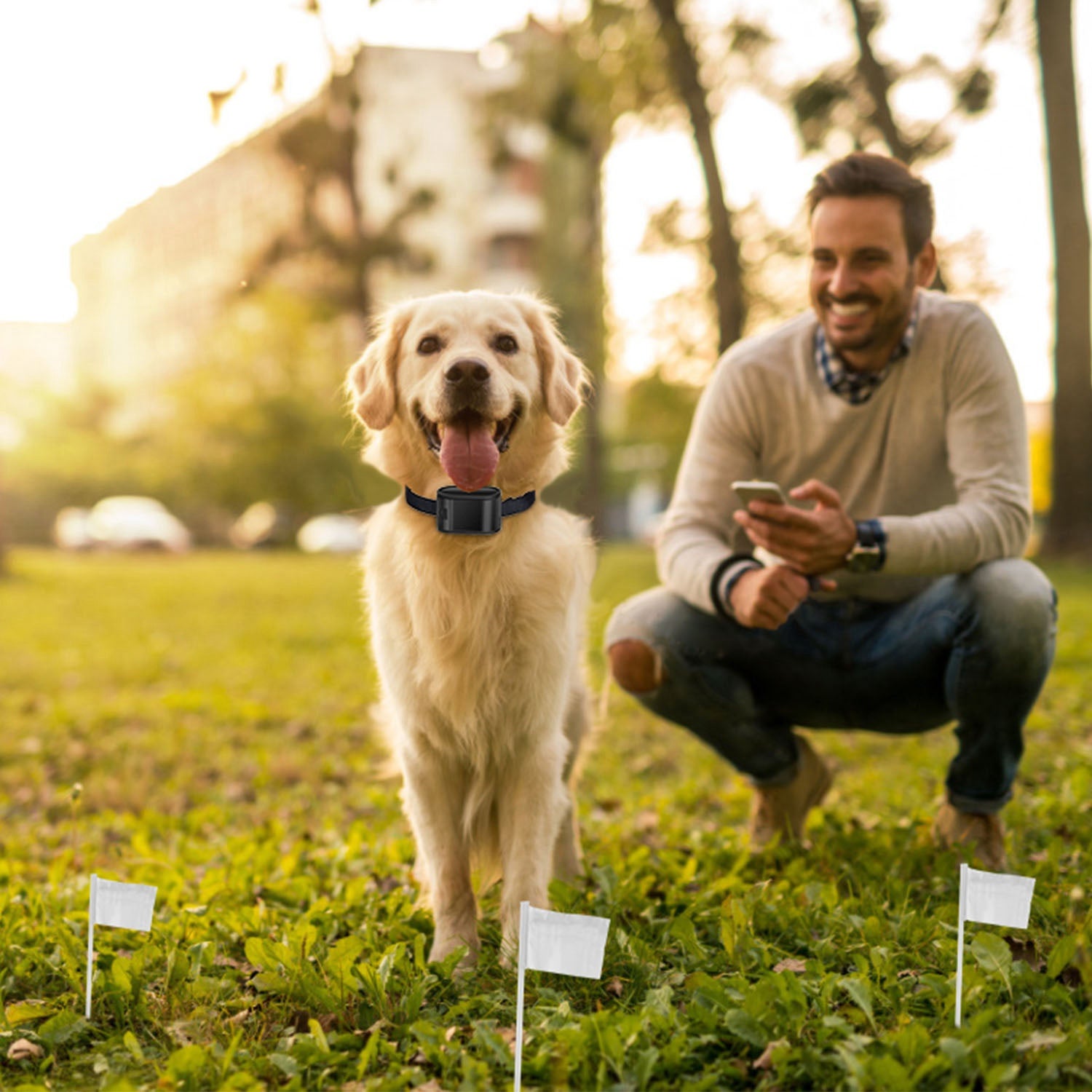 PawGuardian Wireless Dog Fence System